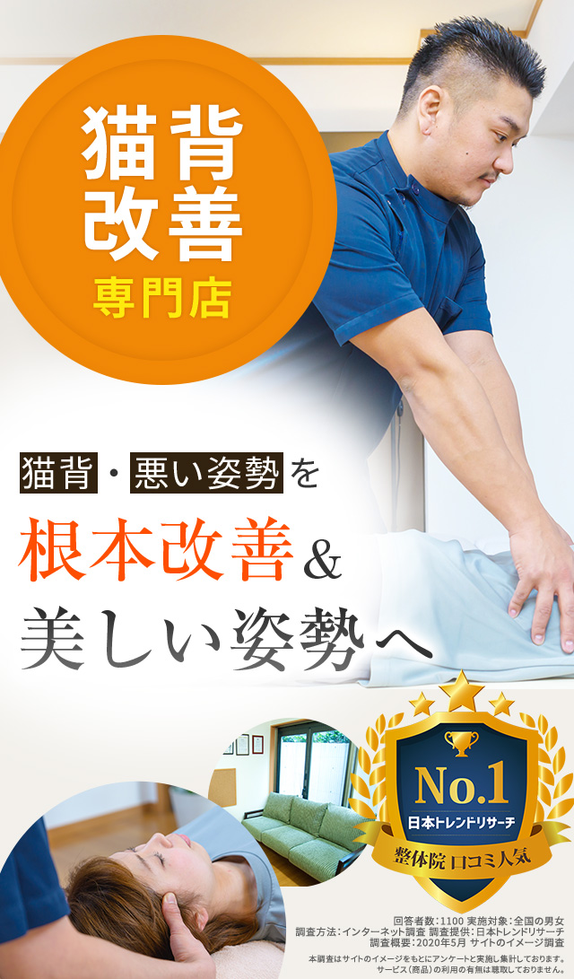 姿勢不良の改善実績多数!スペシャリストがあなたを根本改善へ導きます!
