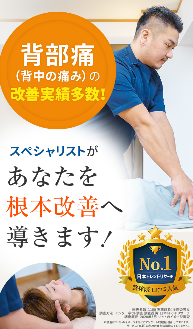背部痛の改善実績多数!スペシャリストがあなたを根本改善へ導きます!